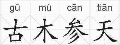 古木参天的拼音
