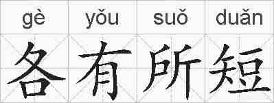各有所短的拼音