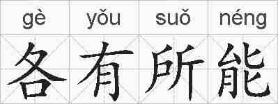 各有所能的拼音