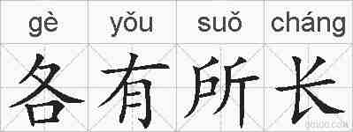 各有所长的拼音