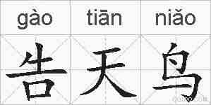 告天鸟的拼音
