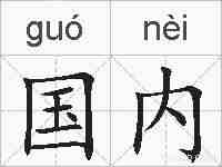 国内的拼音
