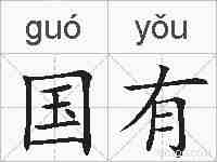 国有的拼音