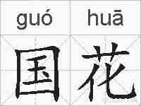 国花的拼音