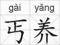 丐养的拼音
