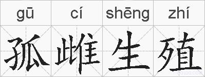 孤雌生殖的拼音