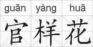 官样花的拼音