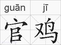 官鸡的拼音