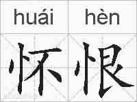 怀恨的拼音