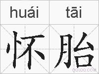 怀胎的拼音