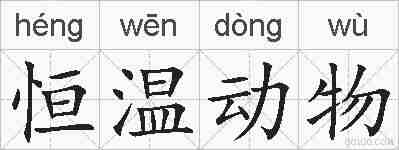 恒温动物的拼音