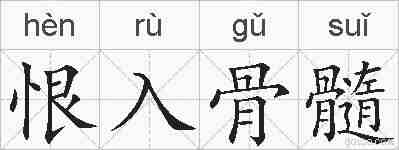 恨入骨髓的拼音