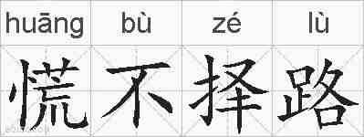 慌不择路的拼音