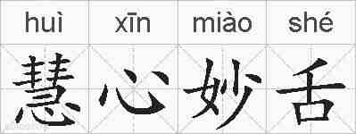慧心妙舌的拼音