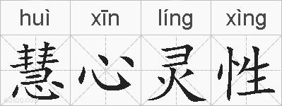 慧心灵性的拼音