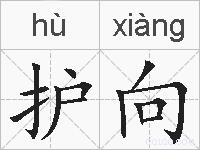 护向的拼音