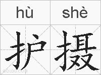 护摄的拼音