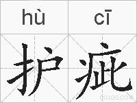 护疵的拼音