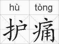 护痛的拼音