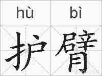 护臂的拼音