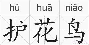 护花鸟的拼音