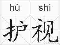 护视的拼音