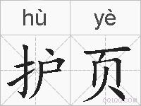 护页的拼音