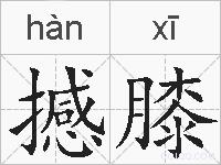 撼膝的拼音