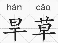 旱草的拼音