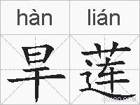 旱莲的拼音