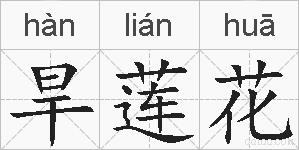 旱莲花的拼音