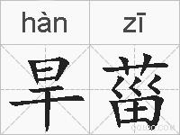 旱菑的拼音