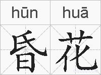 昏花的拼音