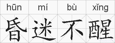 昏迷不醒的拼音