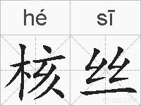 核丝的拼音