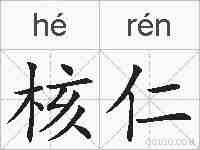 核仁的拼音