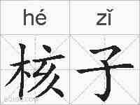 核子的拼音