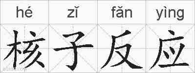 核子反应的拼音