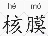 核膜的拼音