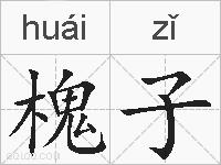 槐子的拼音