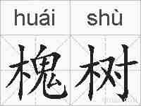 槐树的拼音