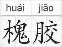 槐胶的拼音