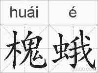 槐蛾的拼音