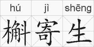 槲寄生的拼音