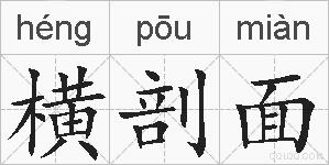横剖面的拼音