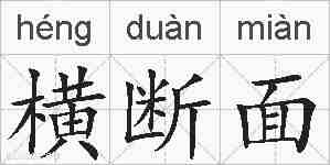 横断面的拼音