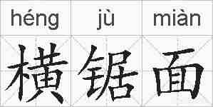 横锯面的拼音