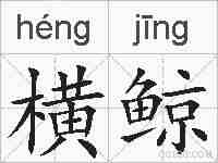 横鲸的拼音