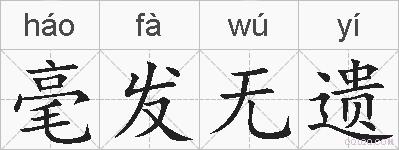 毫发无遗的拼音