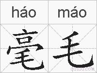 毫毛的拼音